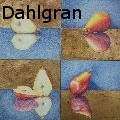 DavaDahlgran